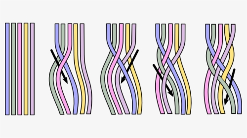 5 Strand Braiding Technique - 5 Braid, HD Png Download, Free Download