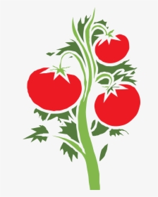 Cherry Tomato Clip Art - Tomato Plant Clipart Png, Transparent Png, Free Download