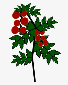 Icon, Tomato, Tomatoes, Orchard, Vegetables - Tomato Tree Icon, HD Png Download, Free Download