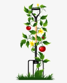 Tomato Vine Vector Png - Poems For Gardeners Funerals, Transparent Png, Free Download