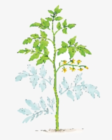 Illustration Of Dust Covered Plant Leaves - Pruning Tomatoes, HD Png Download, Free Download