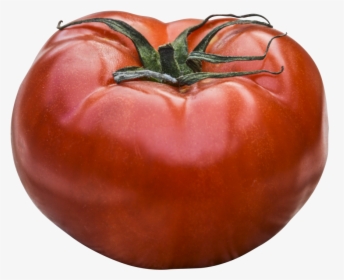 Dreaming Tomatoes, HD Png Download, Free Download