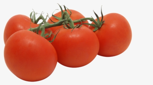 Vine Ripe Tomatoes, HD Png Download, Free Download