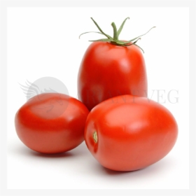Tomato Plant Png, Transparent Png, Free Download