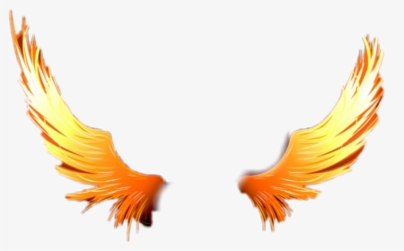 #fire #angel #demon #aile #wing - Fire Angel Wings Png, Transparent Png, Free Download