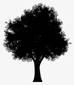 Tree Png Clip Art, Transparent Png, Free Download
