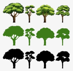 Safari Trees Tree Silhouette Vectors Photos And Psd - Arvore Vetor, HD Png Download, Free Download