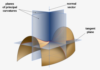 Planes Of Principal Curvature, HD Png Download, Free Download