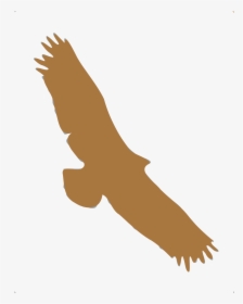 This Free Icons Png Design Of Silhouette Animaux - Buzzard, Transparent Png, Free Download