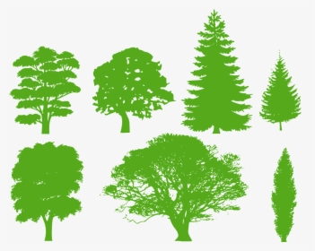 Green Tree Silhouette Png, Transparent Png, Free Download