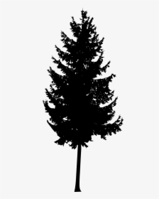 Trees Silhouette Png, Transparent Png, Free Download