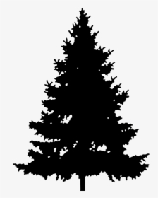 Christmas Tree Silhouette Png - Fir Tree Clipart Black And White, Transparent Png, Free Download