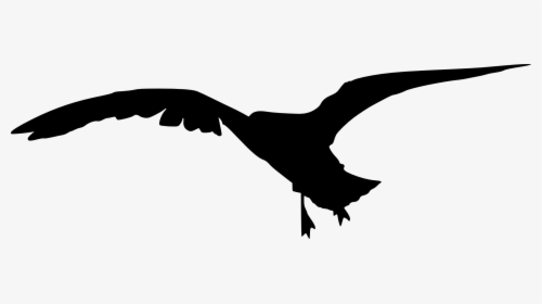 15 Bird Silhouette - Silhouette Vulture Head Png Transparent, Png Download, Free Download