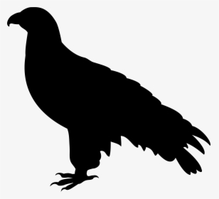 Eagle Silhouette Png, Transparent Png, Free Download