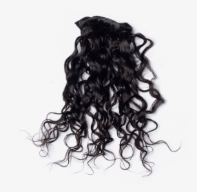 Curly Black Hair Png , Png Download - Black Curly Hair From Back Png, Transparent Png, Free Download