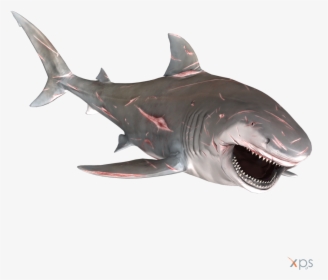 Bull Shark Png Graphic Transparent Stock - Bull Shark Depth Png, Png Download, Free Download