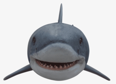 Shark Great White Life Size - Great White Shark, HD Png Download, Free Download