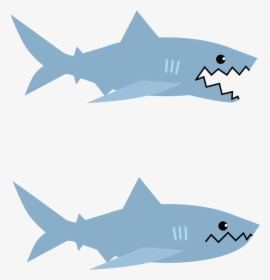 Great White Shark , Png Download - Squaliformes, Transparent Png, Free Download