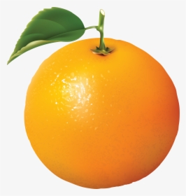 Oranges Png Image - Orange Fruit, Transparent Png, Free Download