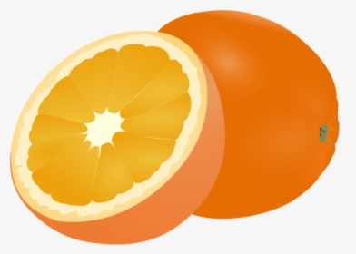 Fruit Clipart Orange Logo - Dibujo Frutas Png, Transparent Png, Free Download