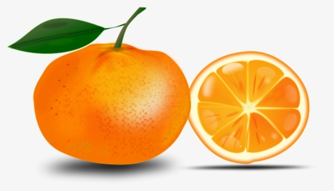 Orange Png Image, Free Download - Orange Clipart Free, Transparent Png, Free Download