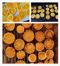 Dried-oranges - Rangpur, HD Png Download, Free Download
