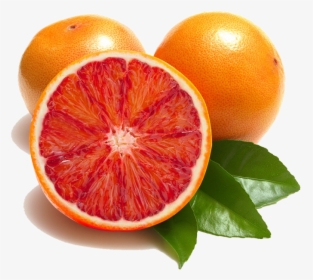 Blood Orange Fruit Png, Transparent Png, Free Download