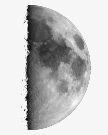 First Quarter Moon Png, Transparent Png, Free Download