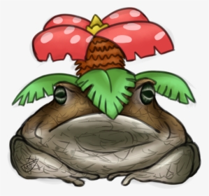 Venusaur A Toad Pokemon, HD Png Download, Free Download