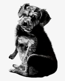 Dog Pen And Ink Portrait, HD Png Download, Free Download