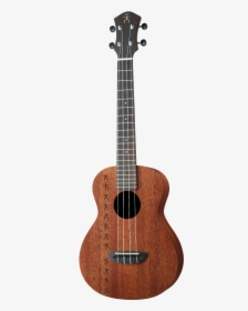 Anuenue All Solid Papa Mahogany Tenor Ukulele Includes - Taylor 528e, HD Png Download, Free Download