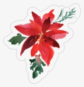 Poinsettia Print & Cut File - Lily, HD Png Download, Free Download