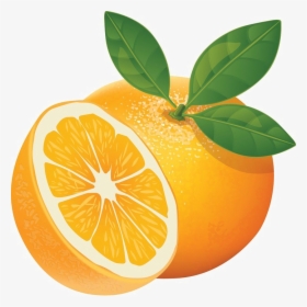 Orange Slice Png High-quality Image - Illustrator Orange Vector Png, Transparent Png, Free Download