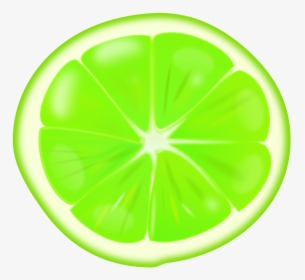 Lime Slice - Circle, HD Png Download, Free Download