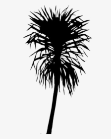 Transparent Tropical Plants Image - Silhouette, HD Png Download, Free Download