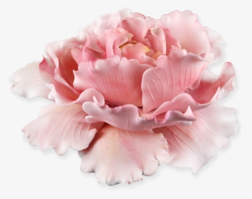Peony Plunger Cutter, HD Png Download, Free Download