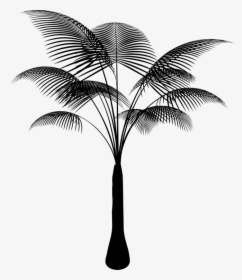 Botany,plant,flower - Tropical Plant Pixabay Png, Transparent Png, Free Download