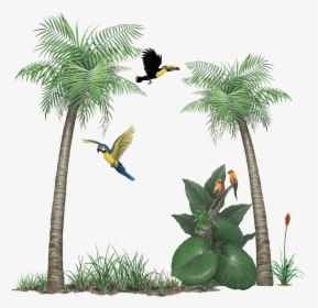 Tropical Rainforest Sticker Collection Create Your - Rainforest Png, Transparent Png, Free Download
