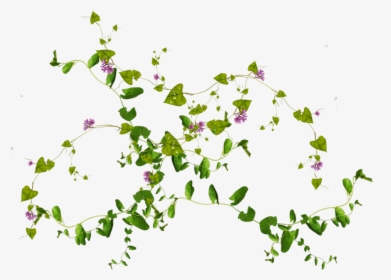 Leafs Png, Transparent Png, Free Download