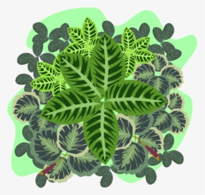 Plant,flora,leaf - Cross, HD Png Download, Free Download