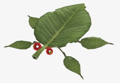 Skitter Leaf - Pikmin Skitter Leaf, HD Png Download, Free Download