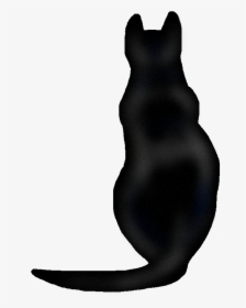 Cat Silhouette Clip Art - American Black Bear, HD Png Download, Free Download