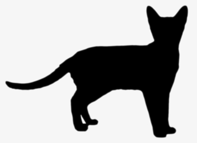 Cat Silhouette - Clip Art, HD Png Download, Free Download