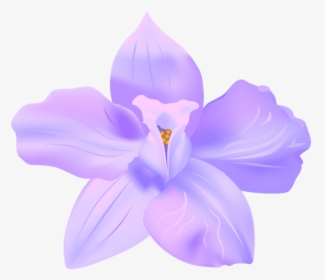 Transparent Spring Flower - Spring Flower Transparent Background, HD Png Download, Free Download