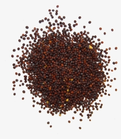 Brown Mustard Seed - Ground Black Pepper Png, Transparent Png, Free Download