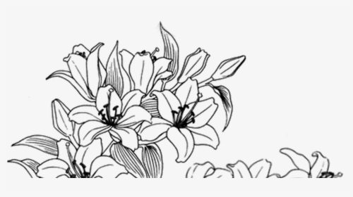 Doodles Aesthetic Simple Flower Drawing - bmp-extra