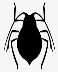 Would You Eat A Bug - Bug Squasher, HD Png Download, Free Download