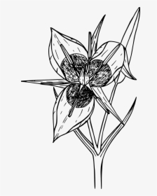 Floral Design Line Art Flower Drawing - Coloring Pages, HD Png Download, Free Download