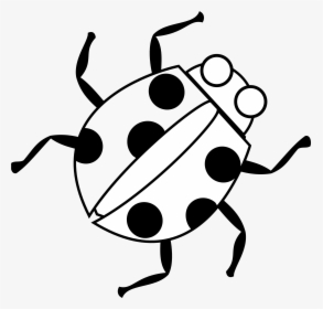Line Drawing Of Bug - Bug Clipart Black And White, HD Png Download, Free Download