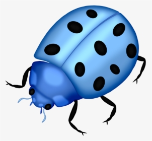 Bug Png Clip Art Lady Bugs And - Blue Ladybug Transparent Background, Png Download, Free Download